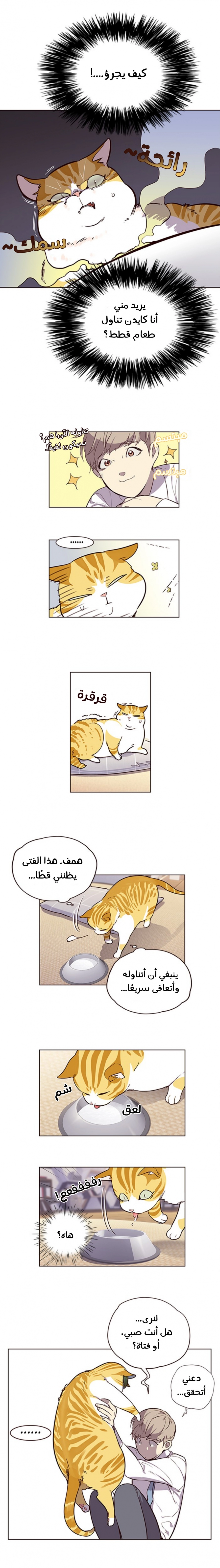 صفحة 13