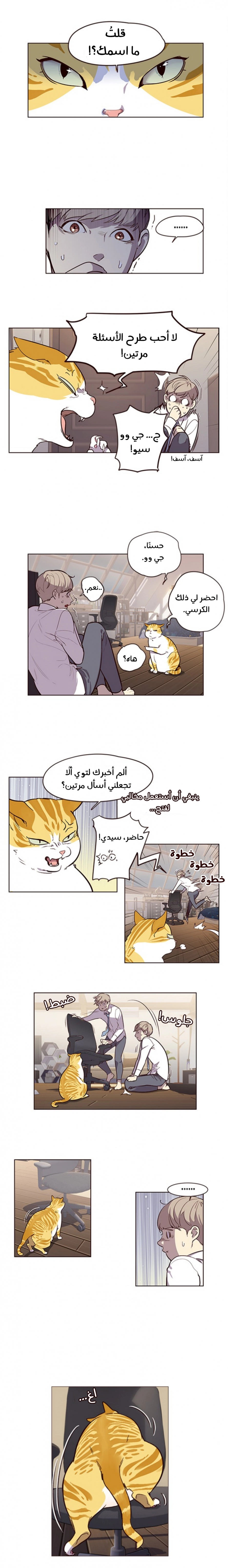 صفحة 15