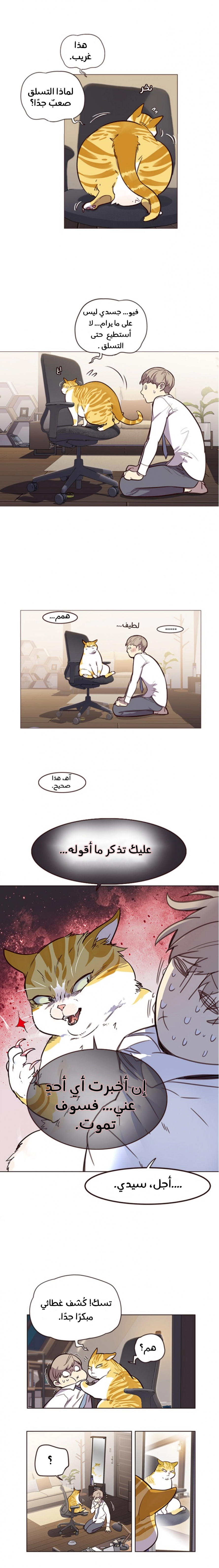 صفحة 16