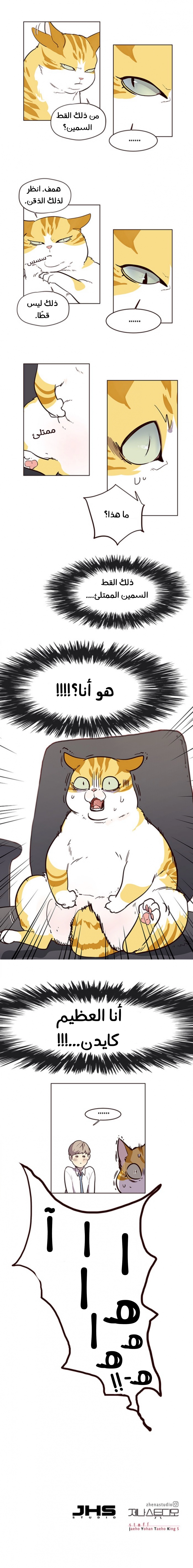 صفحة 17
