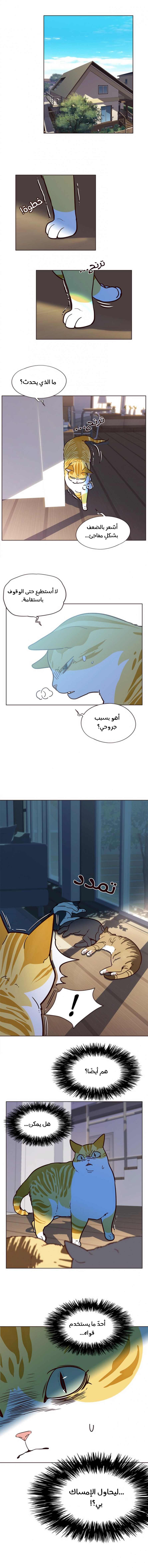 صفحة 4