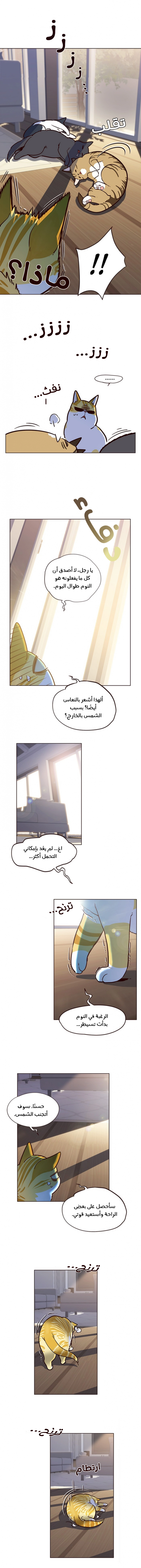 صفحة 5