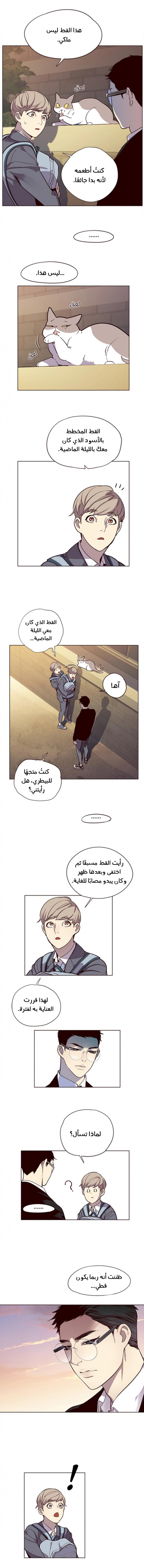 صفحة 8