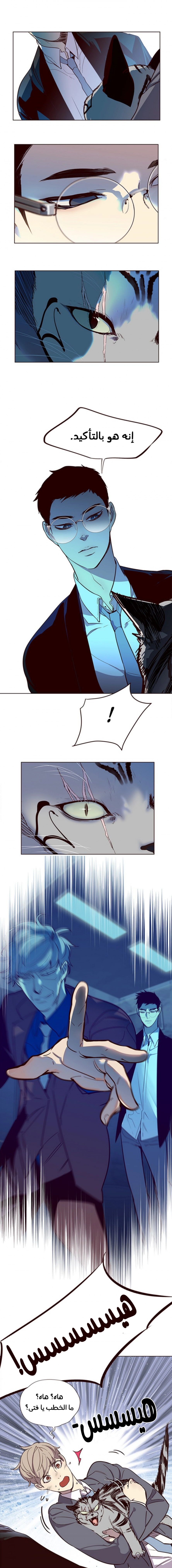 صفحة 11