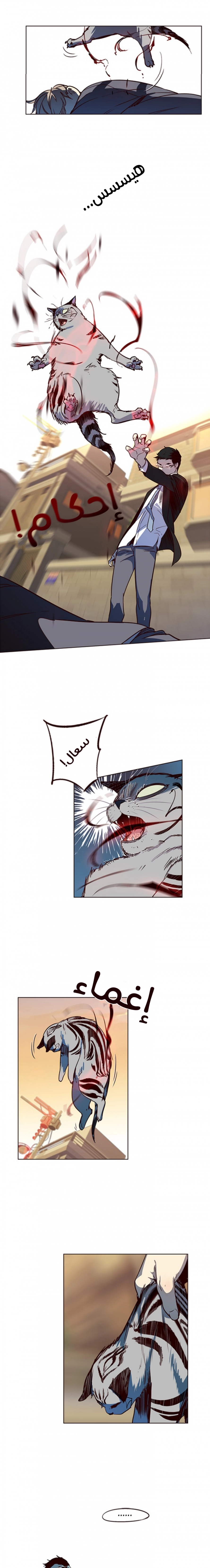 صفحة 15