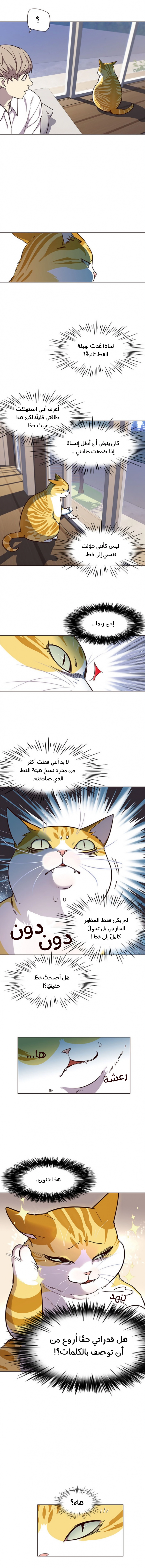 صفحة 3