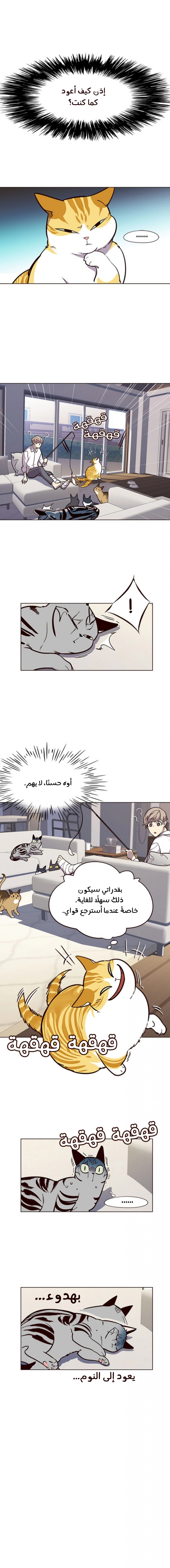 صفحة 4