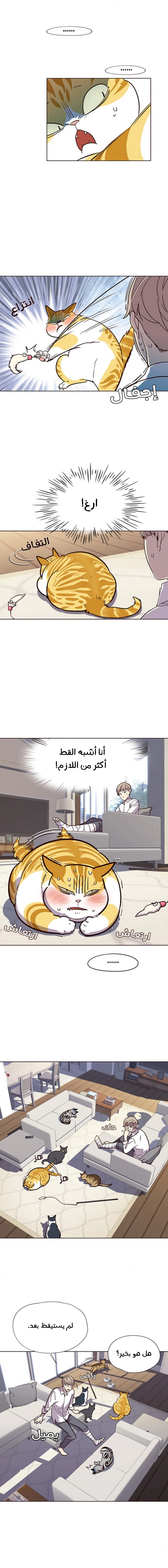 صفحة 6