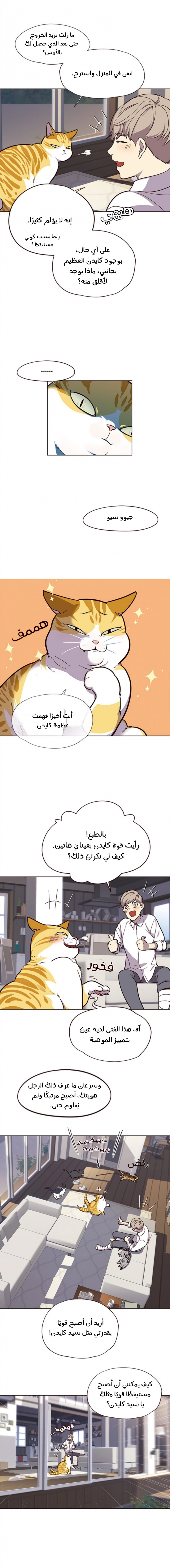صفحة 8