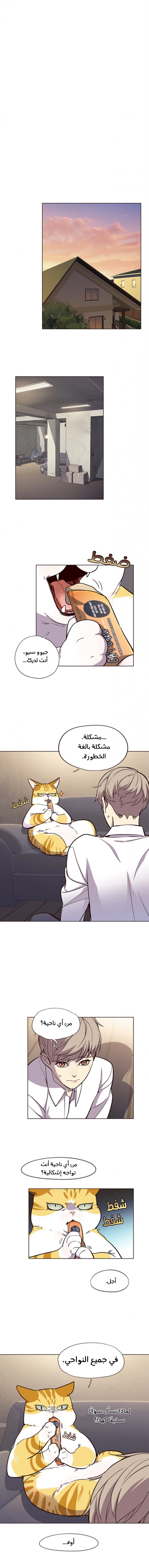صفحة 3