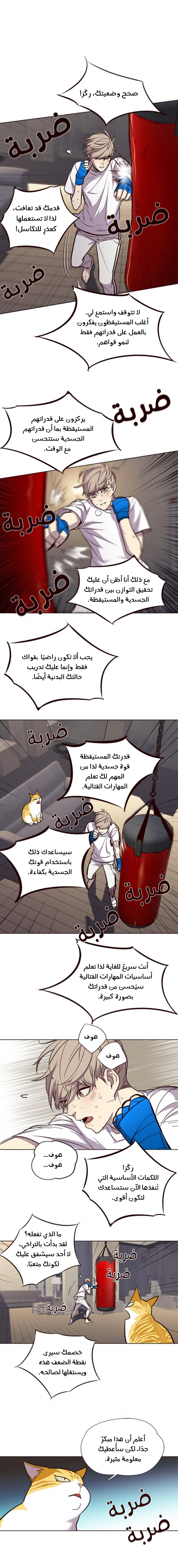 صفحة 6