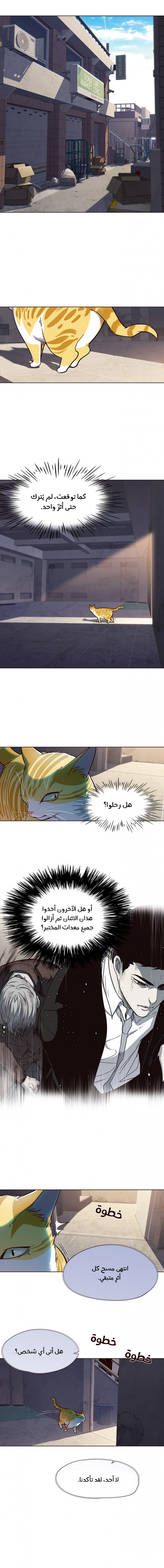 صفحة 11