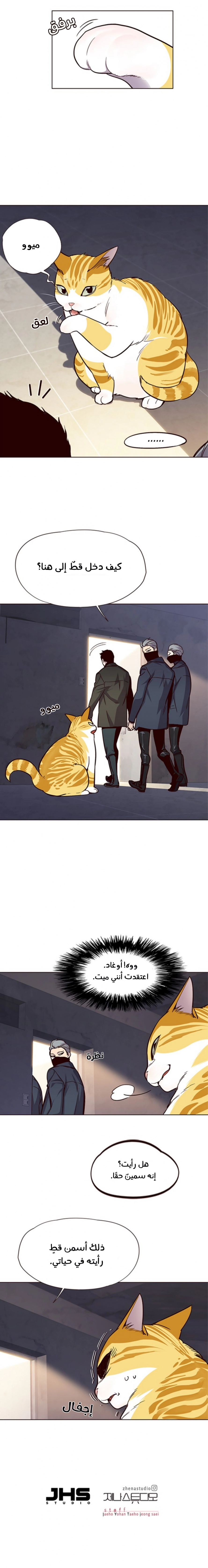 صفحة 13