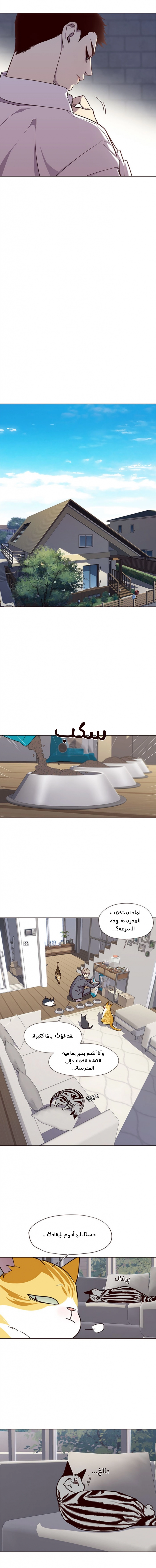 صفحة 5