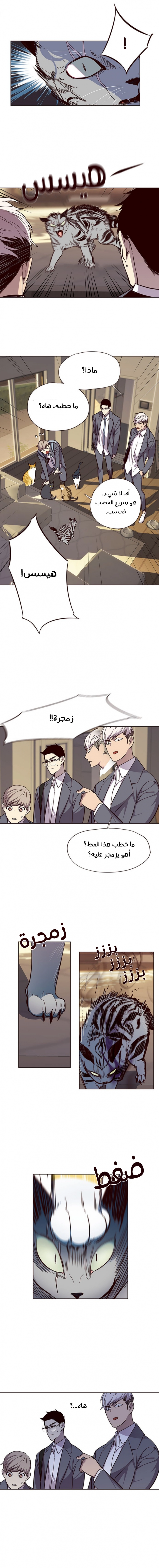 صفحة 5