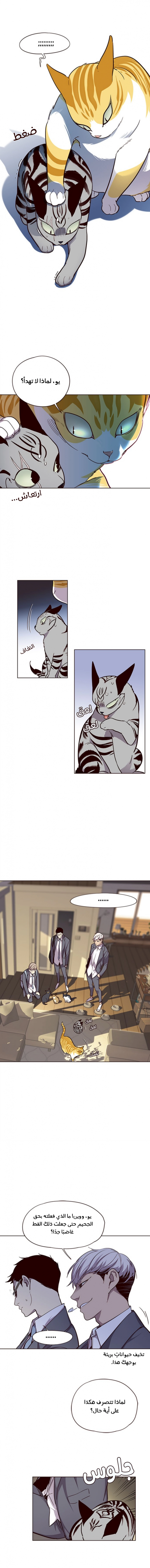 صفحة 6