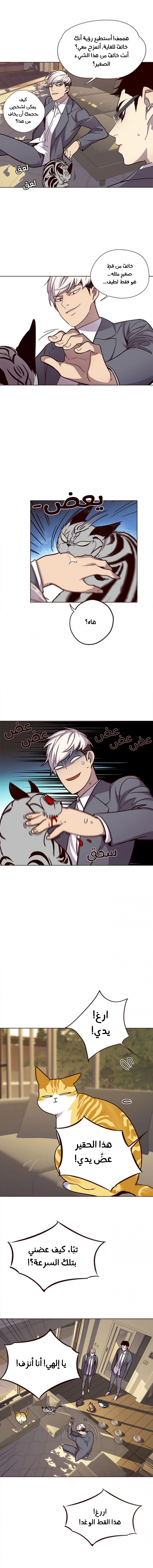 صفحة 7