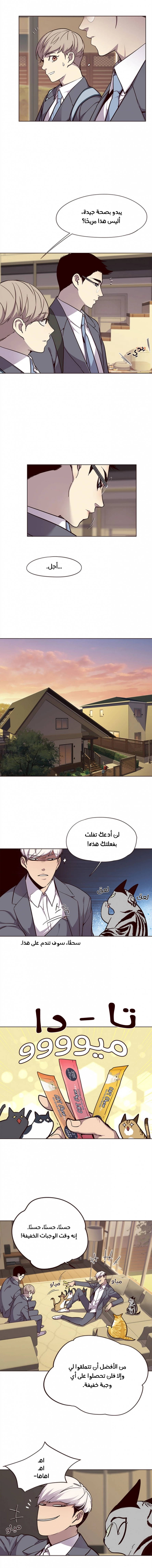 صفحة 8