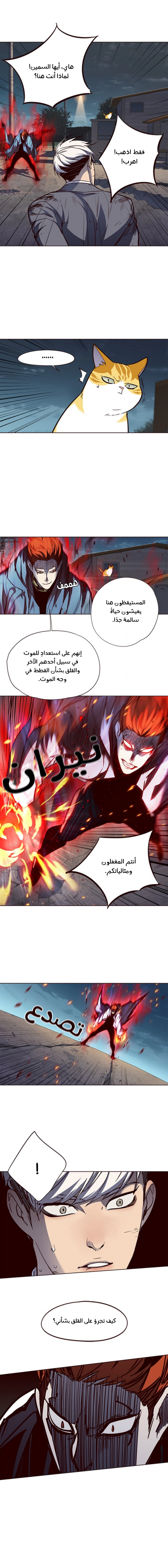 صفحة 10