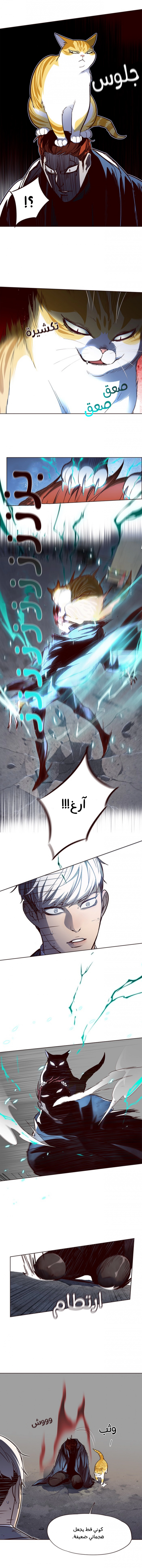 صفحة 11