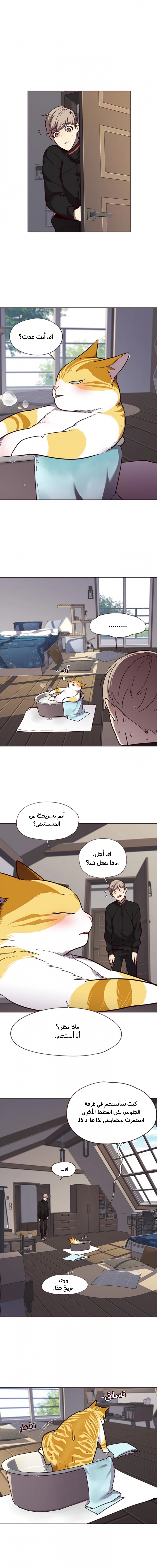 صفحة 6