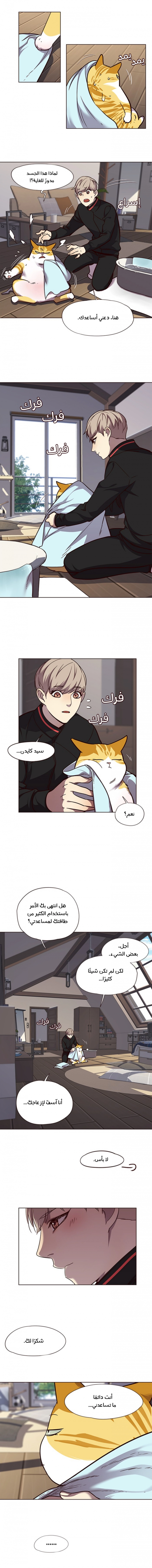 صفحة 7