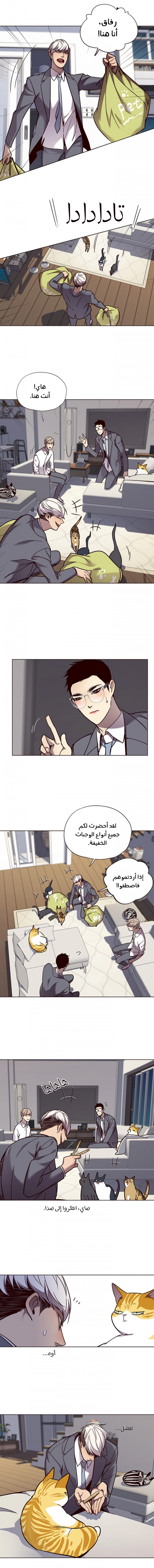 صفحة 7