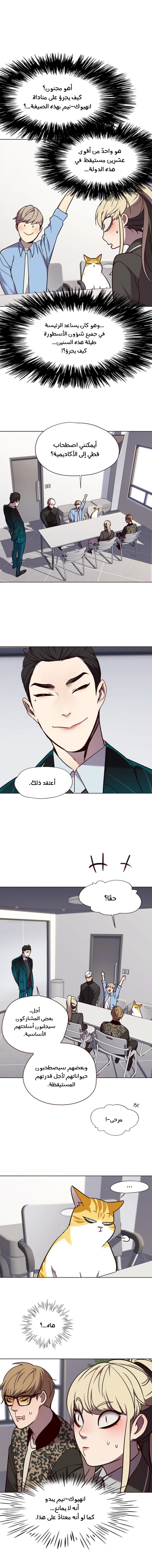 صفحة 11