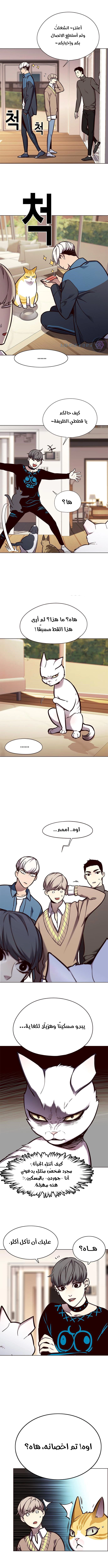 صفحة 7