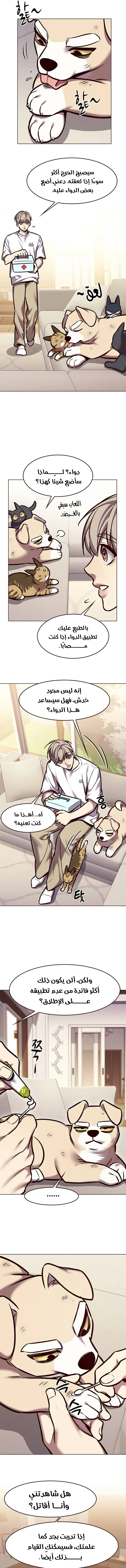 صفحة 8